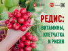 Редис Витамины, клетчатка и риски