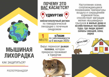 Как обезопасить себя от геморрагической лихорадки с почечным синдромом?