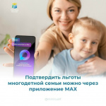 Подтвердить льготы многодетной семьи можно через приложение МАХ