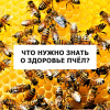 Что нужно знать о здоровье пчел