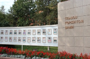 1314661315.jpg