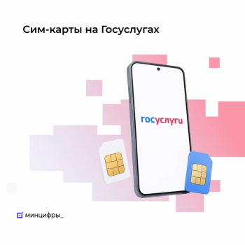 Сервисом проверки сим-карт на Госуслугах воспользовались 200 млн раз