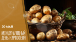 30 мая — Международный день картофеля 