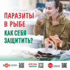 Паразиты в рыбе Как себя защитить?