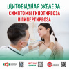 Щитовидная железа: Симптомы гипотиреоза и гипертиреоза. Йод и его важность для организма