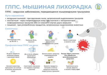Статистические данные по заболеванию геморрагической лихорадкой (ГЛПС)