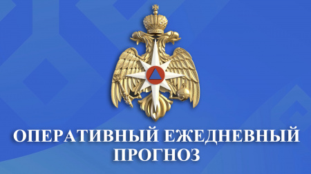 ЕЖЕДНЕВНЫЙ ОПЕРАТИВНЫЙ ПРОГНОЗ 