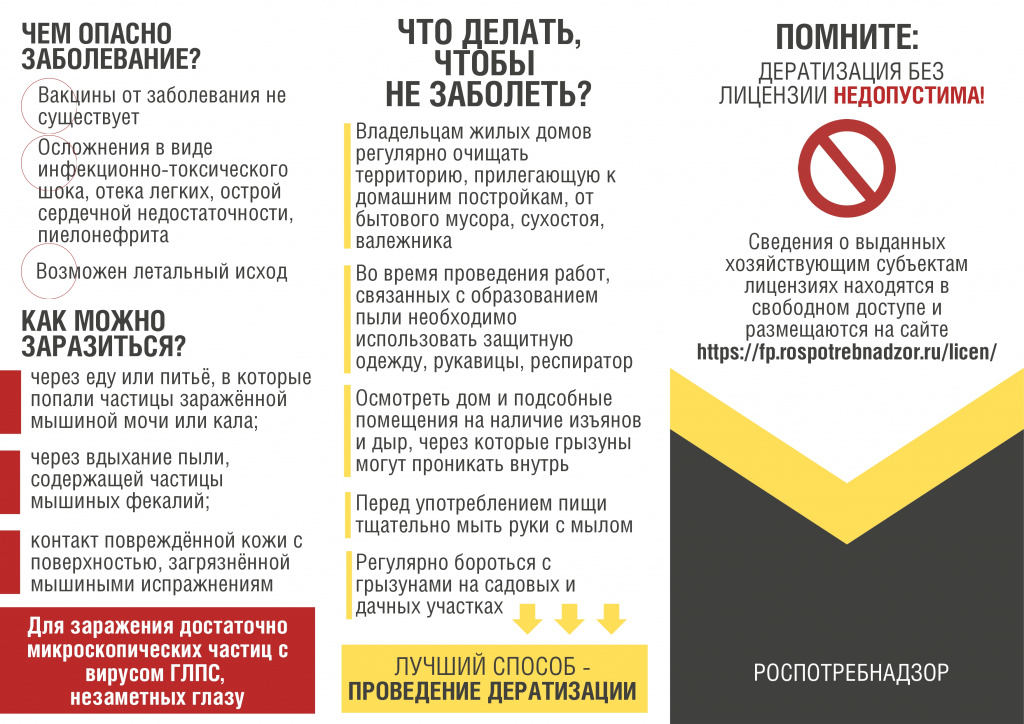 Брошюра по профилактике ГЛПС_002